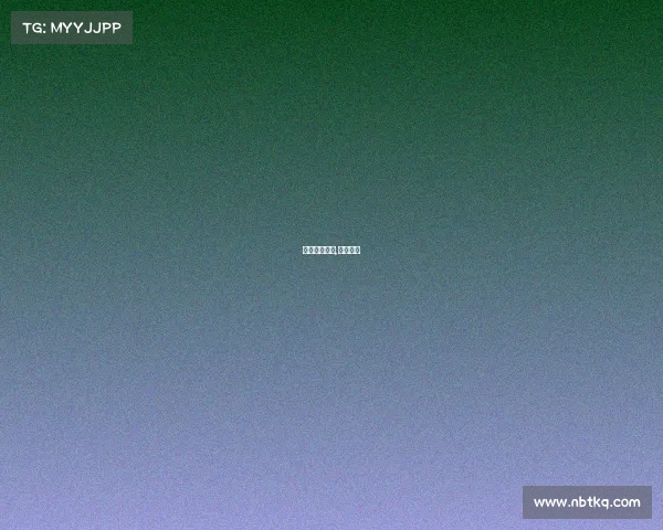 骑土队赛事全,骑土队员